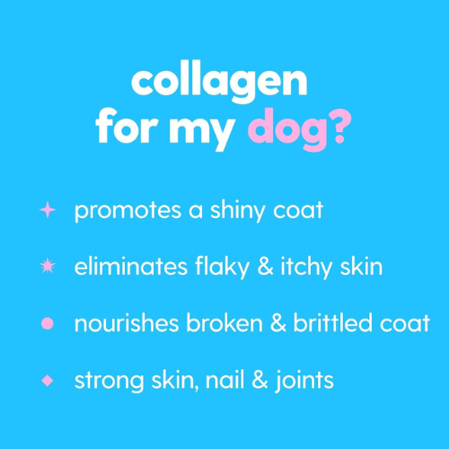 Liquid Collagen Drops for Dogs & Cats