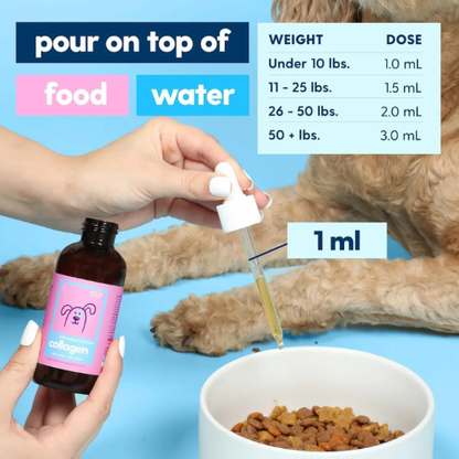 Liquid Collagen Drops for Dogs & Cats